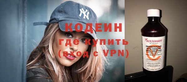 индика Нязепетровск