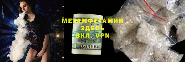 индика Няндома