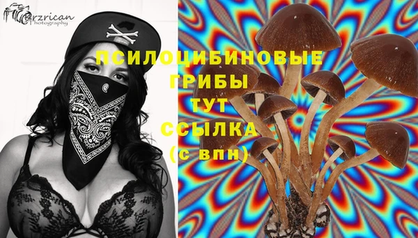 mdma Новодвинск