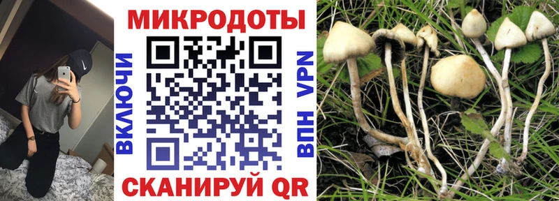 Галлюциногенные грибы GOLDEN TEACHER  Буинск 