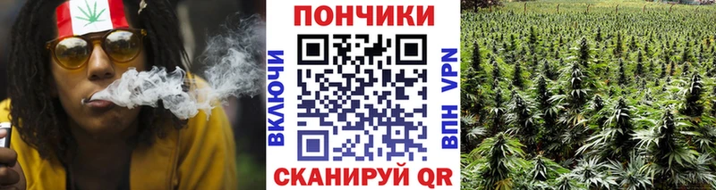 Бошки марихуана THC 21%  Буинск 